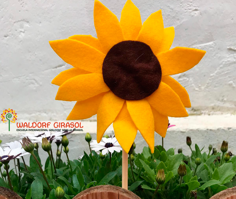 Cómo hacer un girasol de fieltro